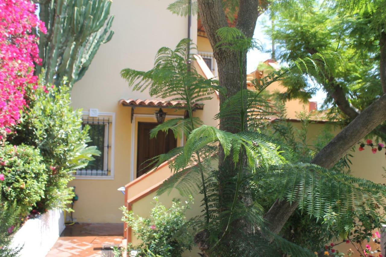 La Mariolina Villa Sanremo Exteriör bild